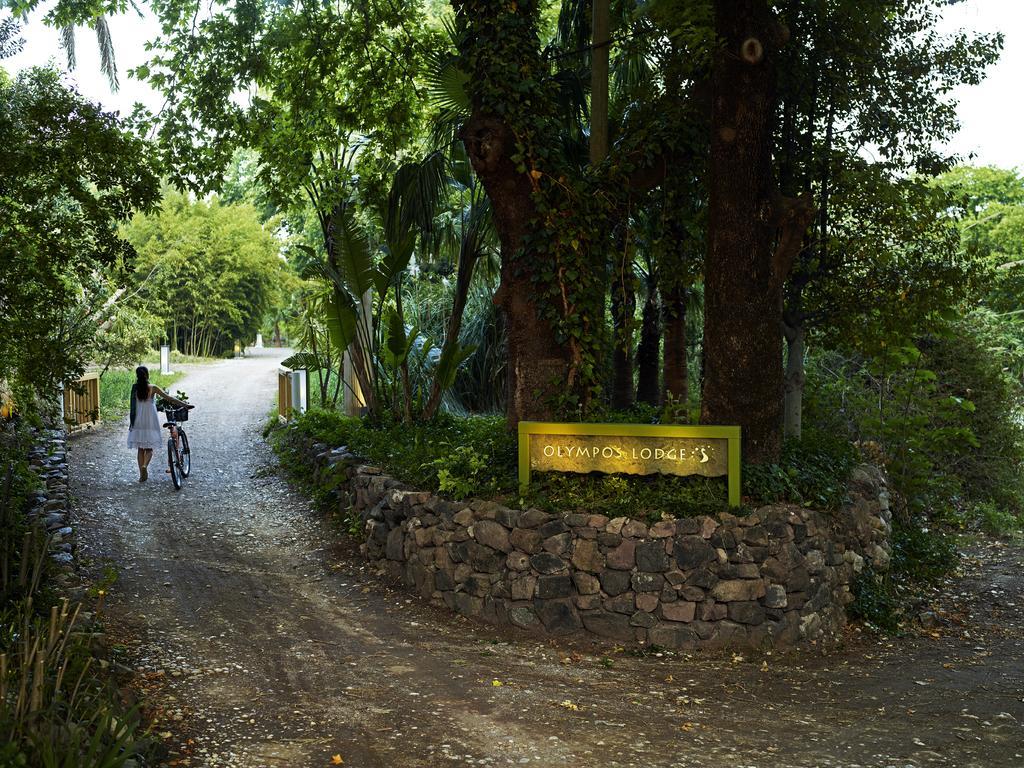 Olympos Lodge Çıralı Extérieur photo
