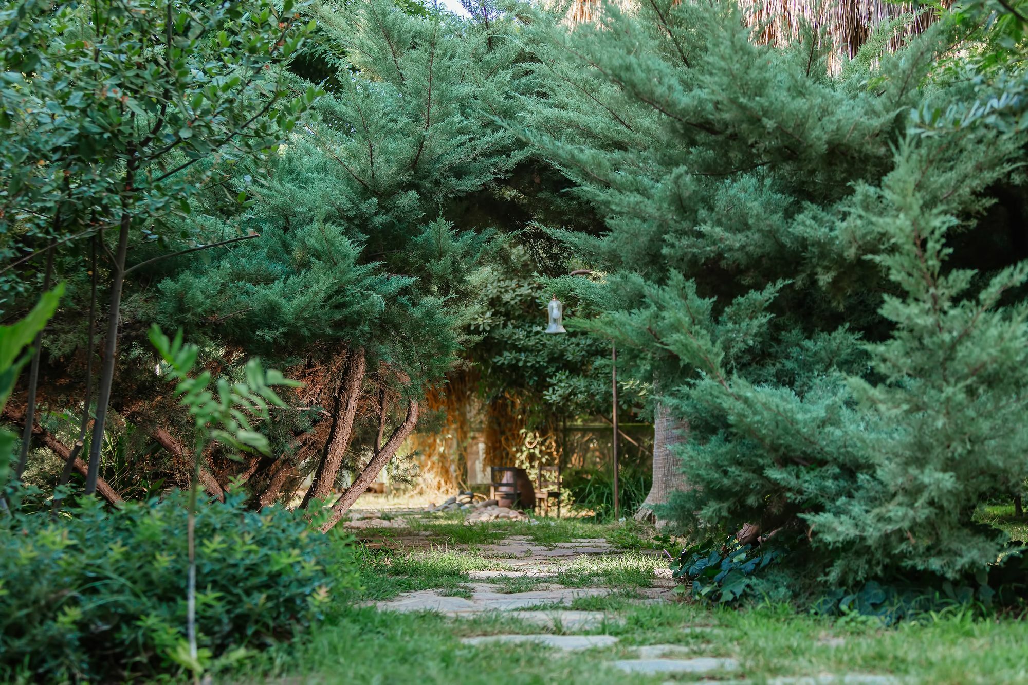 Olympos Lodge Çıralı Extérieur photo